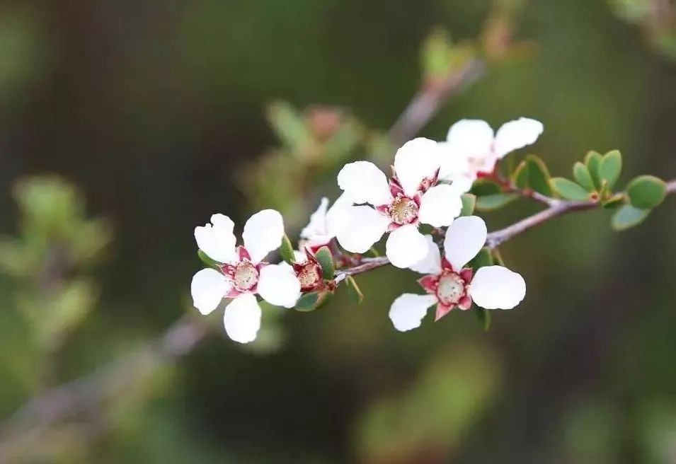  怎么样除脚臭用什么药（去除脚气脚臭用什么牌子的药）